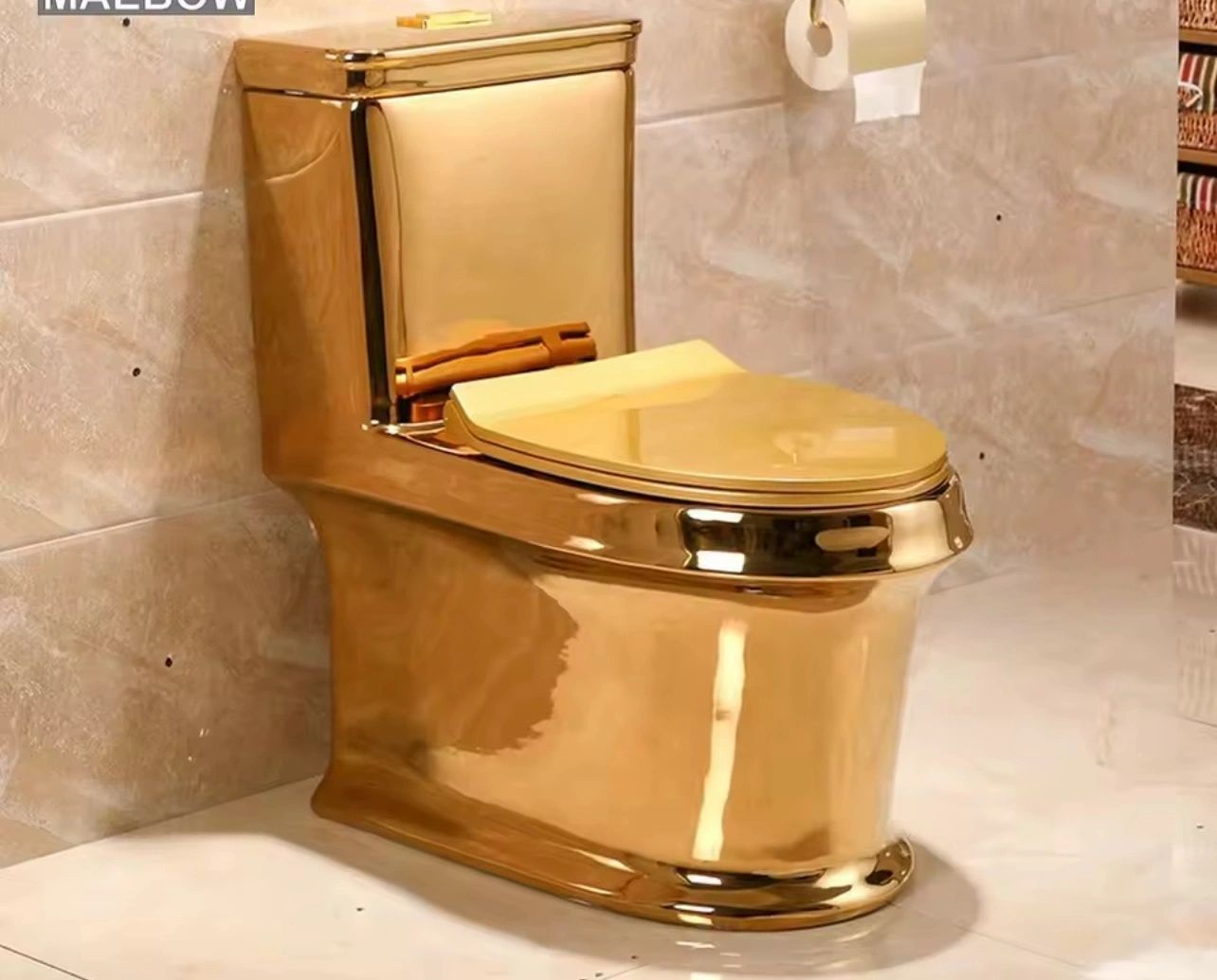 Luxury interior project 9